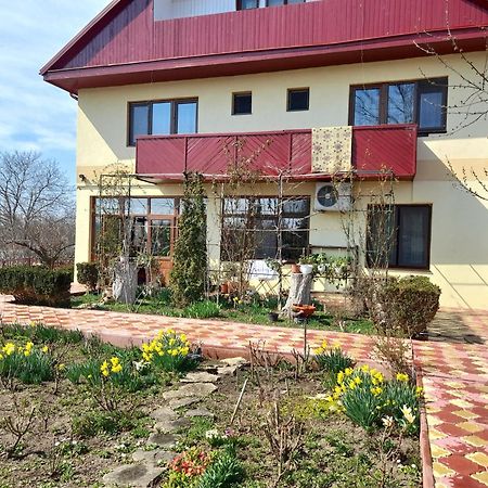 Pensiunea Anda Tulcea Exterior photo