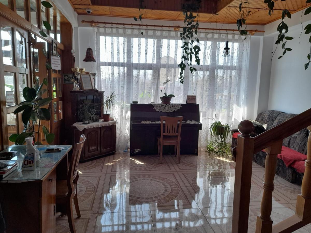 Pensiunea Anda Tulcea Exterior photo