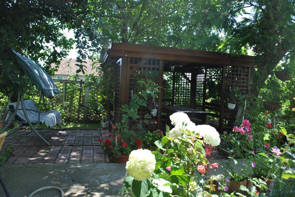 Pensiunea Anda Tulcea Exterior photo