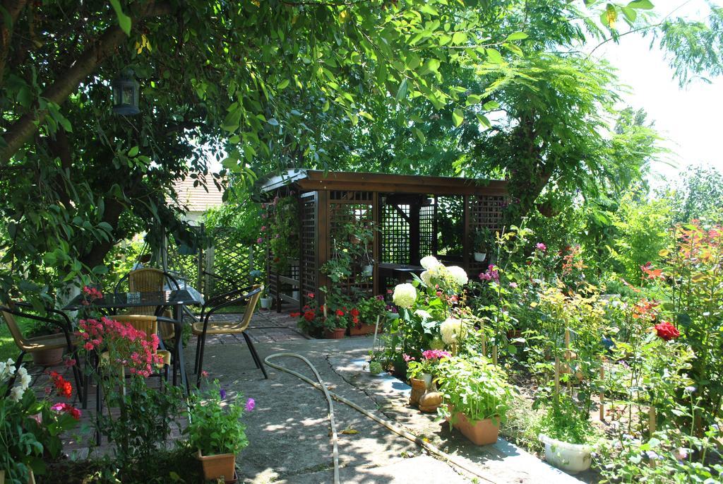 Pensiunea Anda Tulcea Exterior photo
